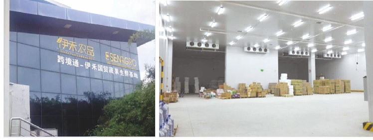 跨境通-伊禾國(guó)貿(mào)蔬果生鮮基地冷庫工程